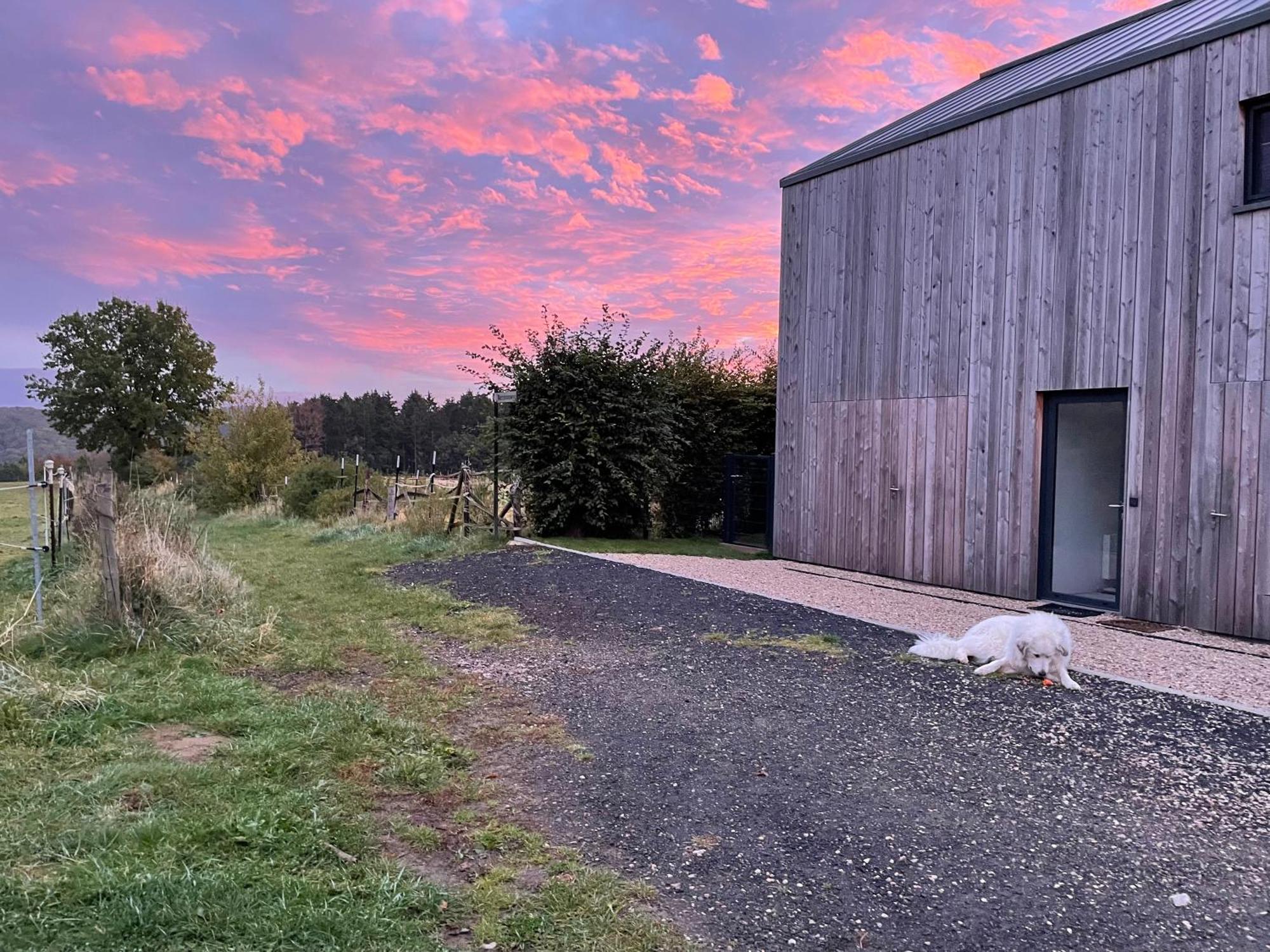 バート・ミュンスターアイフェル Eifelhaus Ut Mutscheidヴィラ エクステリア 写真