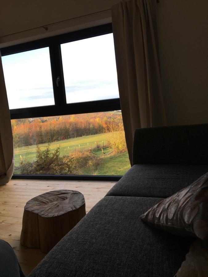 バート・ミュンスターアイフェル Eifelhaus Ut Mutscheidヴィラ エクステリア 写真